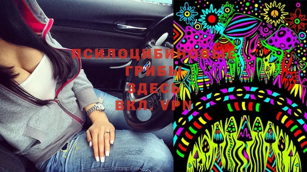 спиды Тутаев