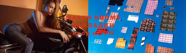шишки Верея