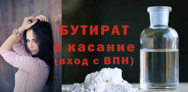 шишки Верея