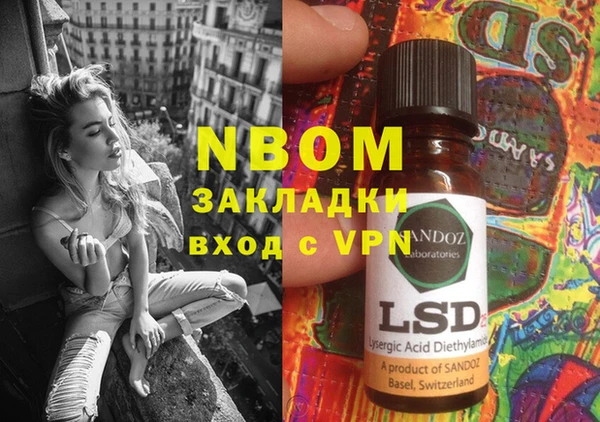 шишки Верея