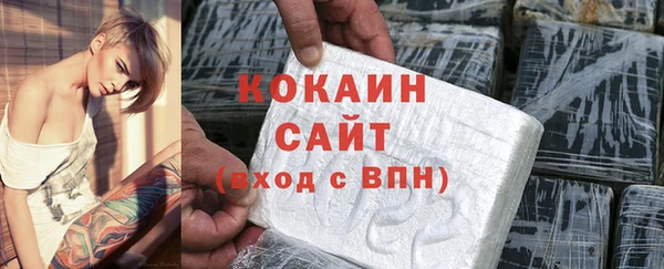 шишки Верея