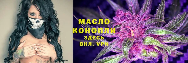 шишки Верея