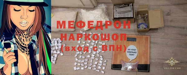 шишки Верея