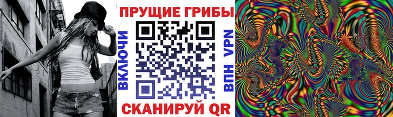 Псилоцибиновые грибы Psilocybe где купить наркоту Североморск